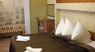 Гостиница Людиново Людиново Люкс-6